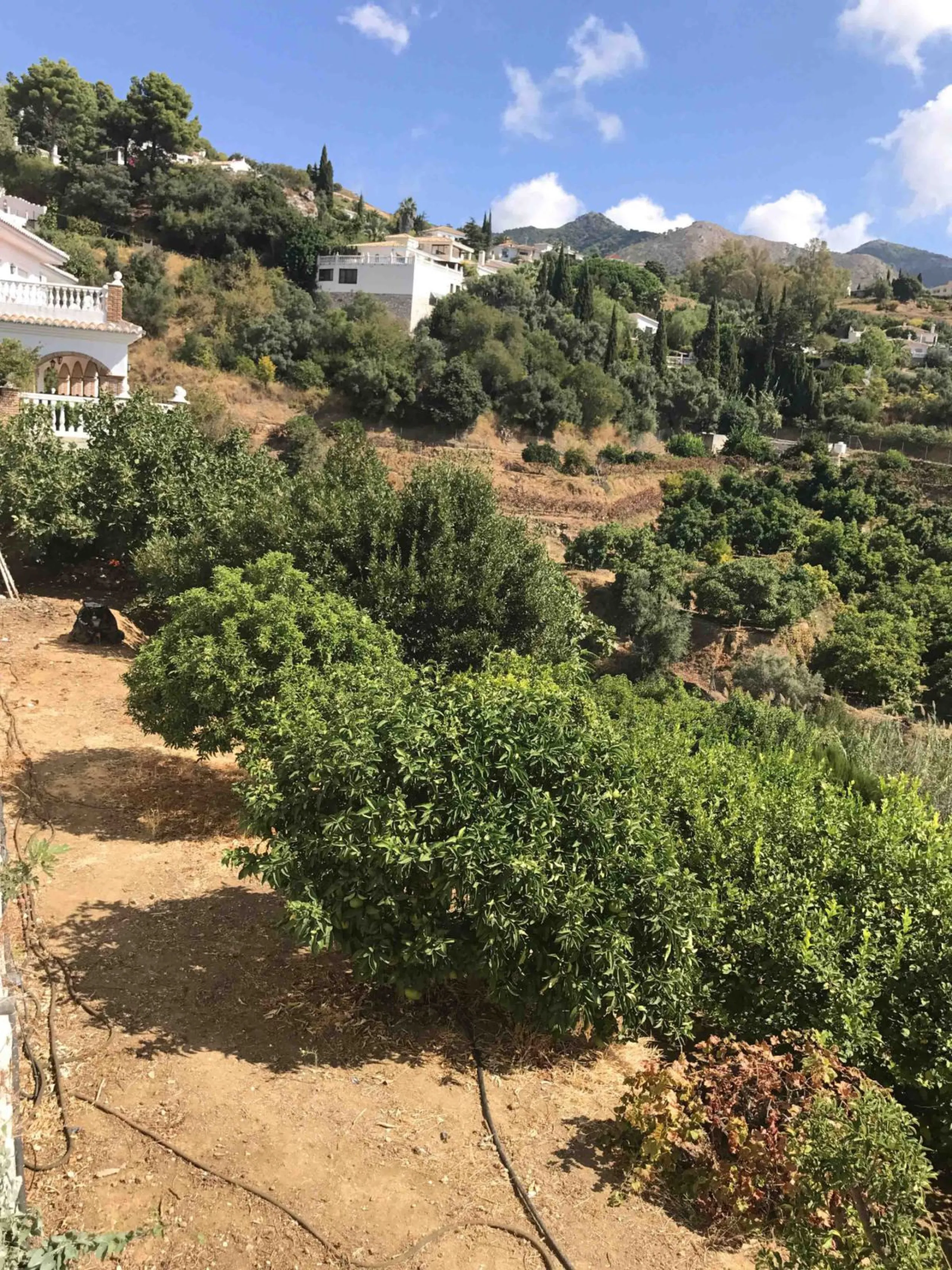 House - Detached Villa в продаже в Mijas, Málaga. В доме 4 спален и 4 ванных комнат. Площадь дома 381 м². Площадь участка 2000 м²