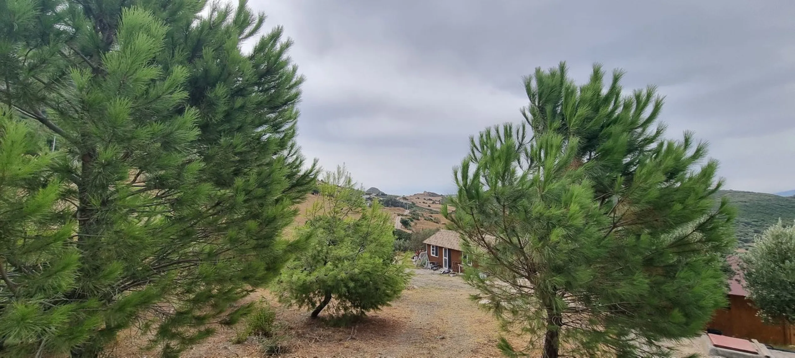 Great finca with three bedrooms, two bathrooms, lots of land and private pool. Just on the entrance of Casares village, no difficult roads, easy access, great quiet location and it has the most spectacular views that you will be able to find. There are 3 