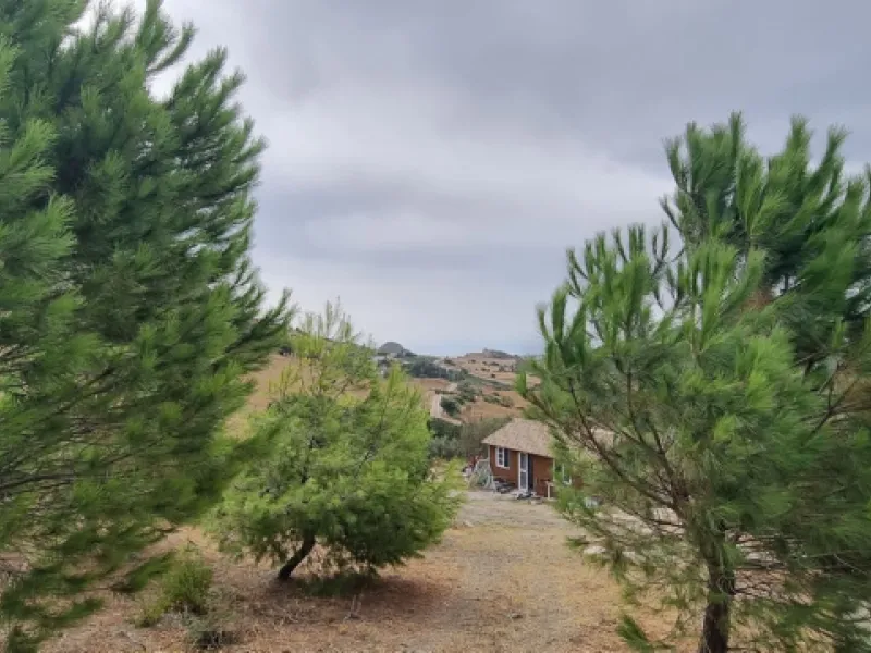 Great finca with three bedrooms, two bathrooms, lots of land and private pool. Just on the entrance of Casares village, no difficult roads, easy access, great quiet location and it has the most spectacular views that you will be able to find. There are 3 