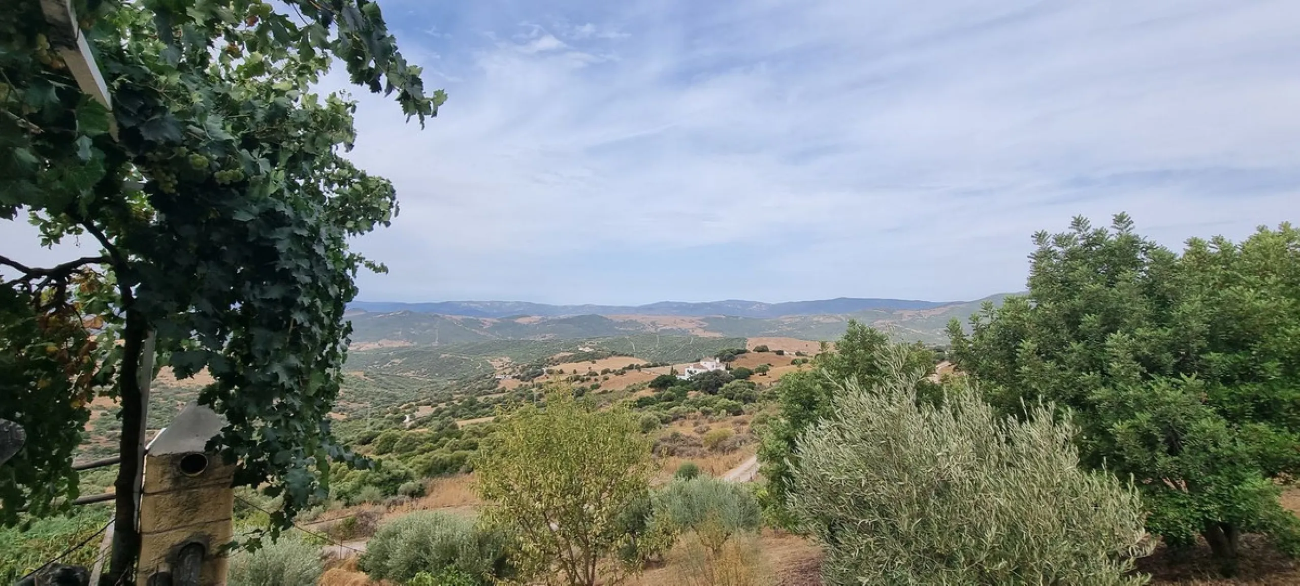 Great finca with three bedrooms, two bathrooms, lots of land and private pool. Just on the entrance of Casares village, no difficult roads, easy access, great quiet location and it has the most spectacular views that you will be able to find. There are 3 