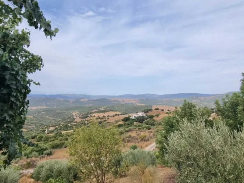 Great finca with three bedrooms, two bathrooms, lots of land and private pool. Just on the entrance of Casares village, no difficult roads, easy access, great quiet location and it has the most spectacular views that you will be able to find. There are 3 
