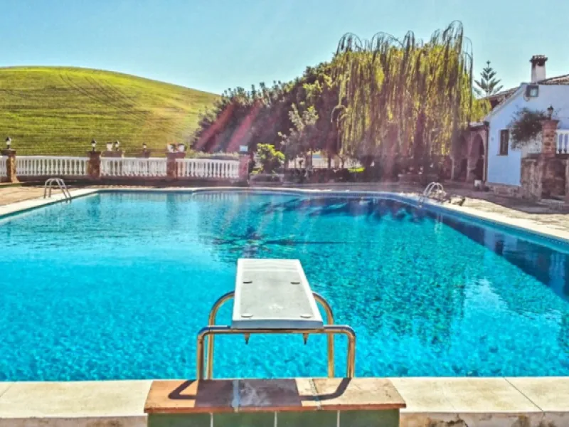 Beautiful Finca with separate guest accomodation, stable, riding school and production of olive trees, avocados, and several fruit trees.