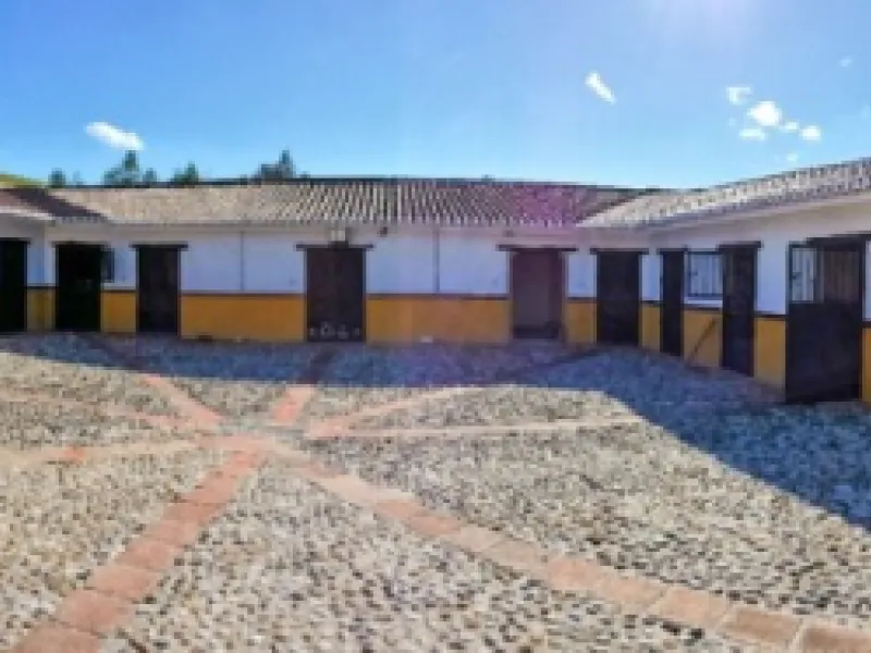 Beautiful Finca with separate guest accomodation, stable, riding school and production of olive trees, avocados, and several fruit trees.