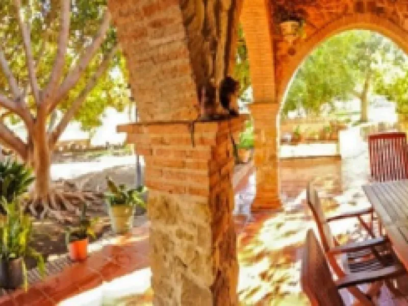 Beautiful Finca with separate guest accomodation, stable, riding school and production of olive trees, avocados, and several fruit trees.