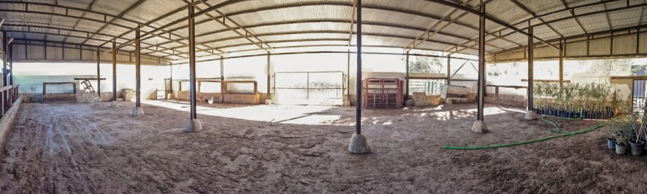 Beautiful Finca with separate guest accomodation, stable, riding school and production of olive trees, avocados, and several fruit trees.