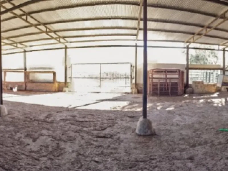 Beautiful Finca with separate guest accomodation, stable, riding school and production of olive trees, avocados, and several fruit trees.