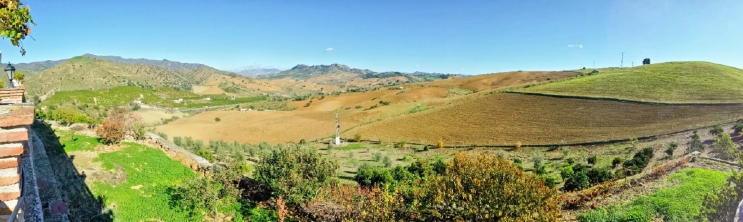 Beautiful Finca with separate guest accomodation, stable, riding school and production of olive trees, avocados, and several fruit trees.