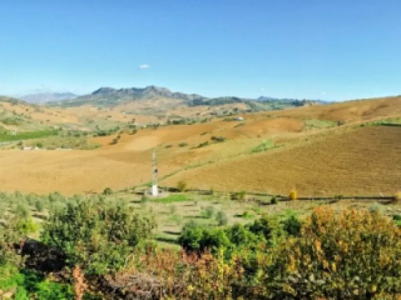 Beautiful Finca with separate guest accomodation, stable, riding school and production of olive trees, avocados, and several fruit trees.
