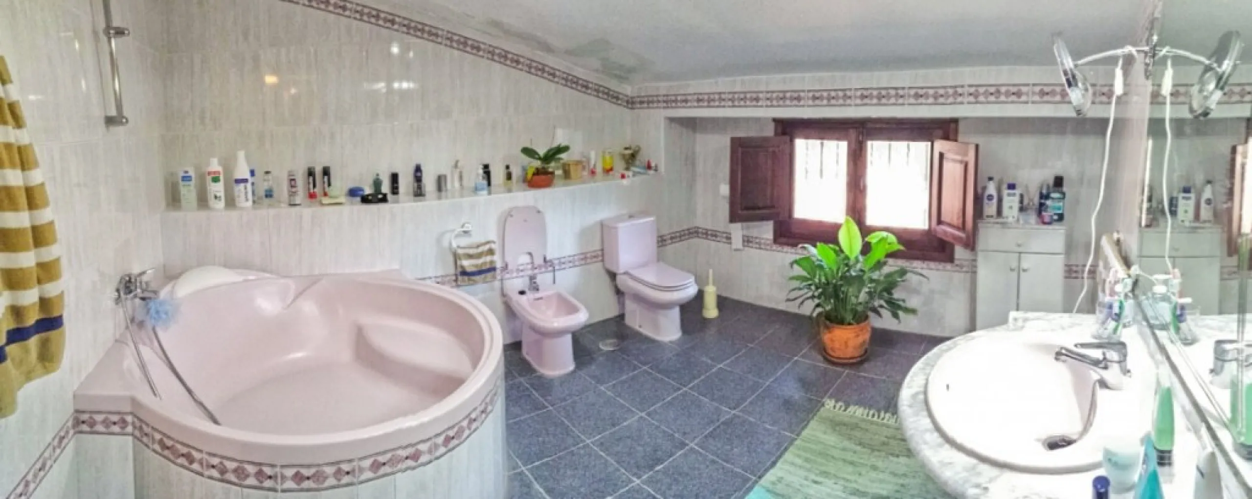 Beautiful Finca with separate guest accomodation, stable, riding school and production of olive trees, avocados, and several fruit trees.