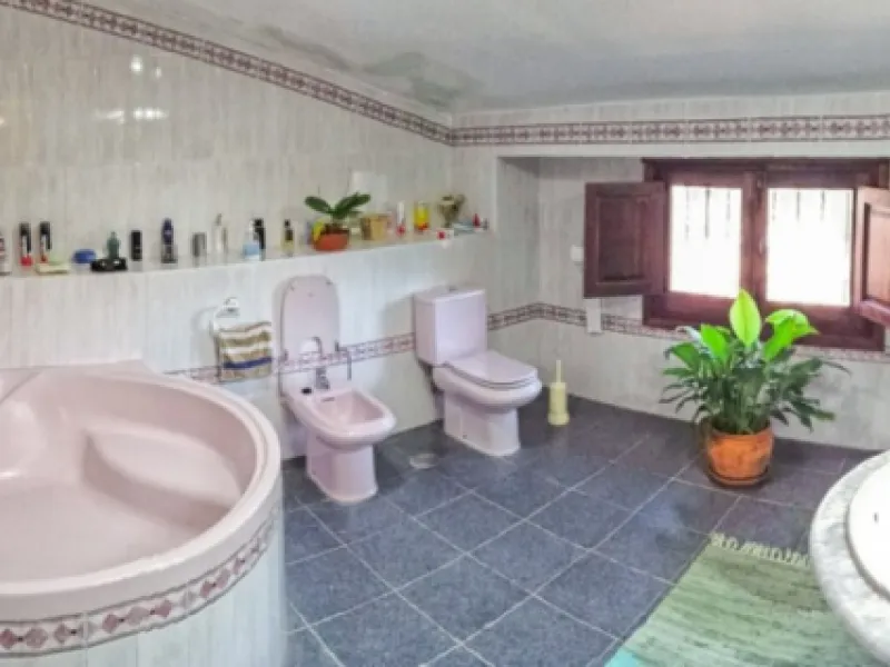 Beautiful Finca with separate guest accomodation, stable, riding school and production of olive trees, avocados, and several fruit trees.