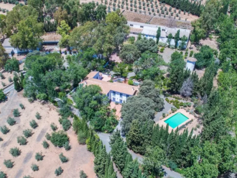 Fantastically Elegant Finca Between Archidona and Villanueva de Tapia, which is Totally Fenced/ Walled. The Finca and Dwelling Feature Total Privacy, and Yet is Only Four minutes from the Motorway and Equidistant between Malaga and Granada Airports..