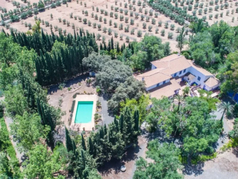 Fantastically Elegant Finca Between Archidona and Villanueva de Tapia, which is Totally Fenced/ Walled. The Finca and Dwelling Feature Total Privacy, and Yet is Only Four minutes from the Motorway and Equidistant between Malaga and Granada Airports..