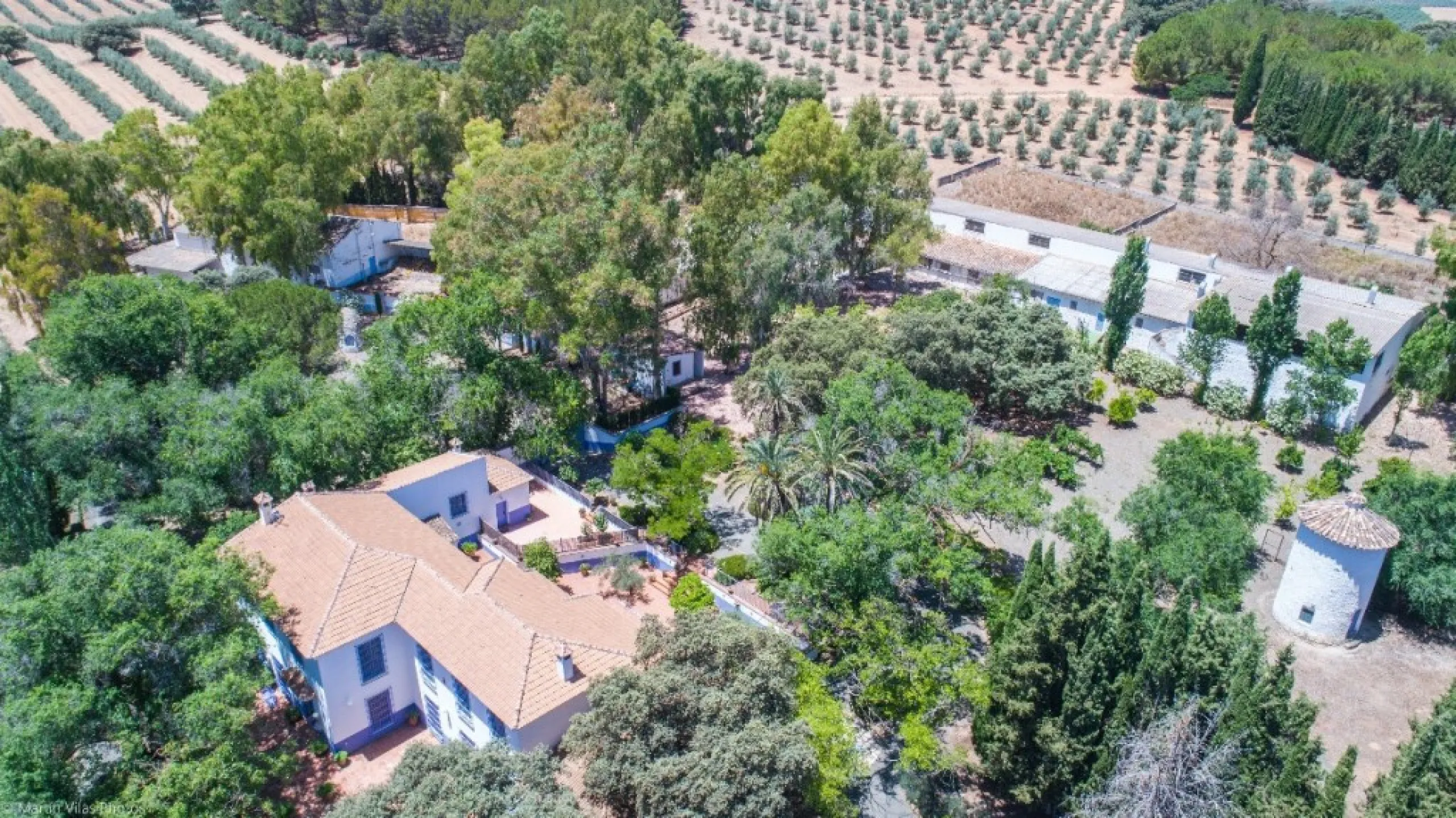 Fantastically Elegant Finca Between Archidona and Villanueva de Tapia, which is Totally Fenced/ Walled. The Finca and Dwelling Feature Total Privacy, and Yet is Only Four minutes from the Motorway and Equidistant between Malaga and Granada Airports..