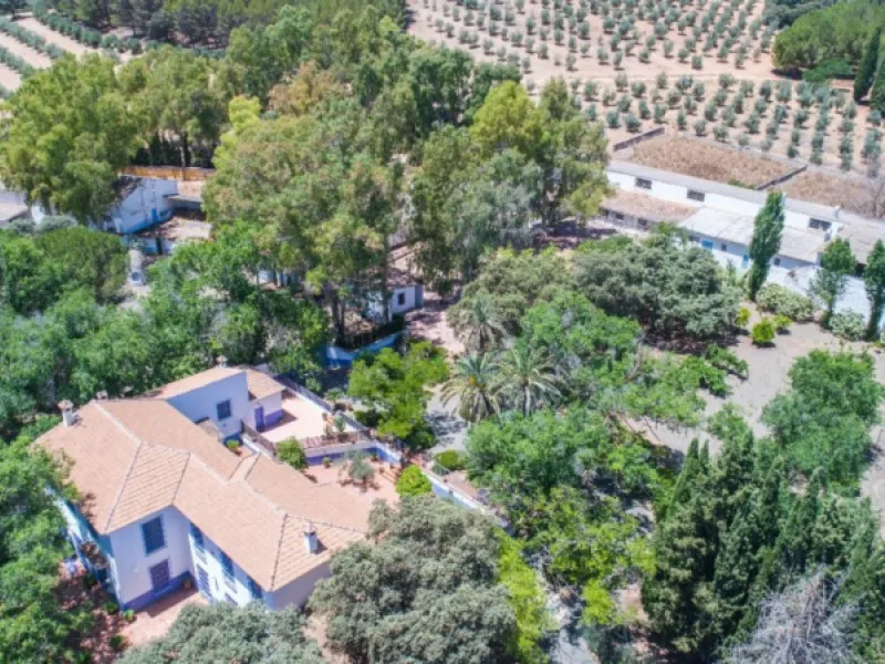 Fantastically Elegant Finca Between Archidona and Villanueva de Tapia, which is Totally Fenced/ Walled. The Finca and Dwelling Feature Total Privacy, and Yet is Only Four minutes from the Motorway and Equidistant between Malaga and Granada Airports..