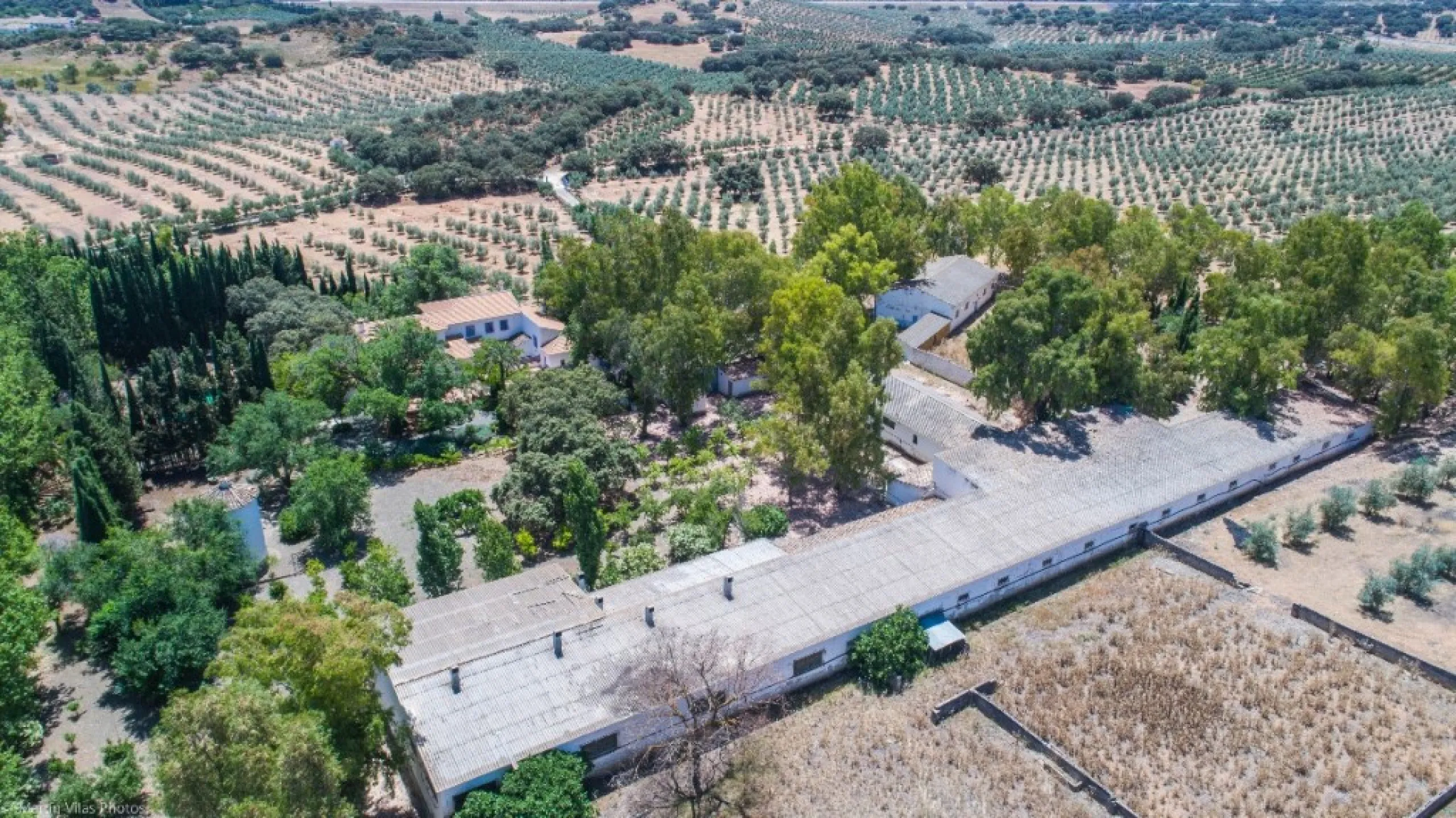 Fantastically Elegant Finca Between Archidona and Villanueva de Tapia, which is Totally Fenced/ Walled. The Finca and Dwelling Feature Total Privacy, and Yet is Only Four minutes from the Motorway and Equidistant between Malaga and Granada Airports..