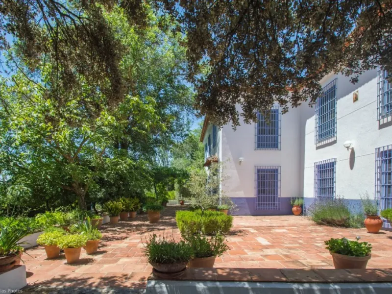 Fantastically Elegant Finca Between Archidona and Villanueva de Tapia, which is Totally Fenced/ Walled. The Finca and Dwelling Feature Total Privacy, and Yet is Only Four minutes from the Motorway and Equidistant between Malaga and Granada Airports..
