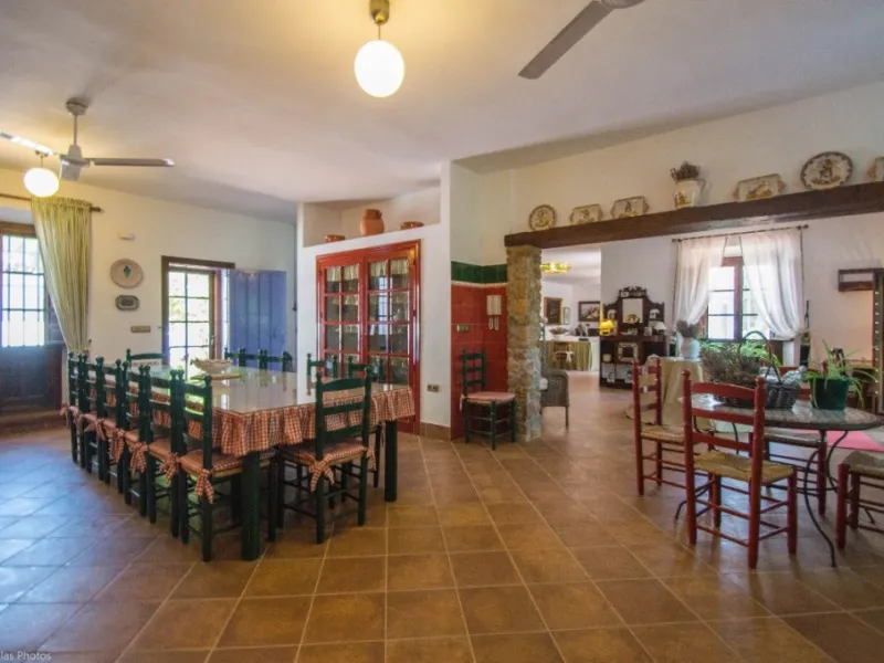 Fantastically Elegant Finca Between Archidona and Villanueva de Tapia, which is Totally Fenced/ Walled. The Finca and Dwelling Feature Total Privacy, and Yet is Only Four minutes from the Motorway and Equidistant between Malaga and Granada Airports..