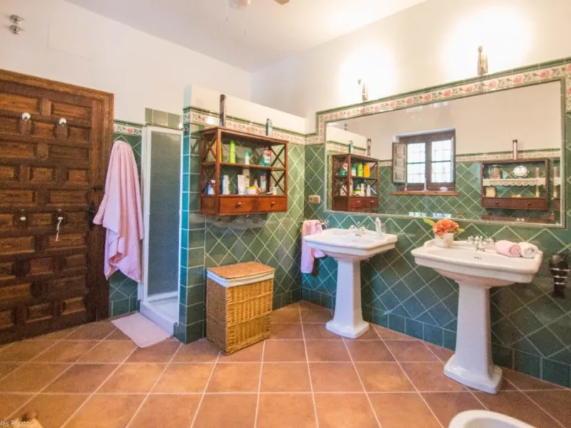 Fantastically Elegant Finca Between Archidona and Villanueva de Tapia, which is Totally Fenced/ Walled. The Finca and Dwelling Feature Total Privacy, and Yet is Only Four minutes from the Motorway and Equidistant between Malaga and Granada Airports..