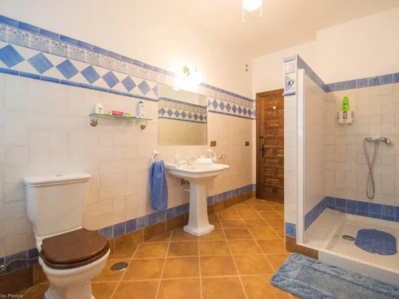 Fantastically Elegant Finca Between Archidona and Villanueva de Tapia, which is Totally Fenced/ Walled. The Finca and Dwelling Feature Total Privacy, and Yet is Only Four minutes from the Motorway and Equidistant between Malaga and Granada Airports..