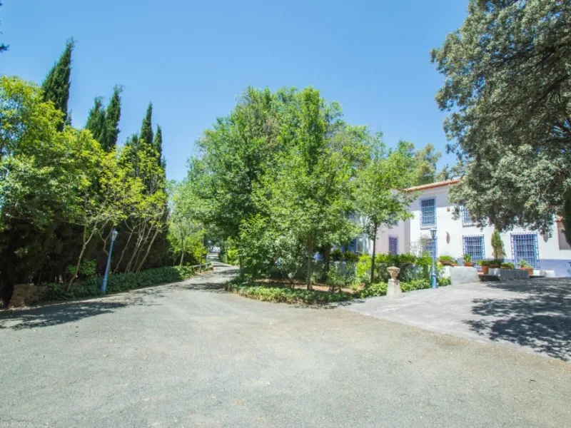 Fantastically Elegant Finca Between Archidona and Villanueva de Tapia, which is Totally Fenced/ Walled. The Finca and Dwelling Feature Total Privacy, and Yet is Only Four minutes from the Motorway and Equidistant between Malaga and Granada Airports..