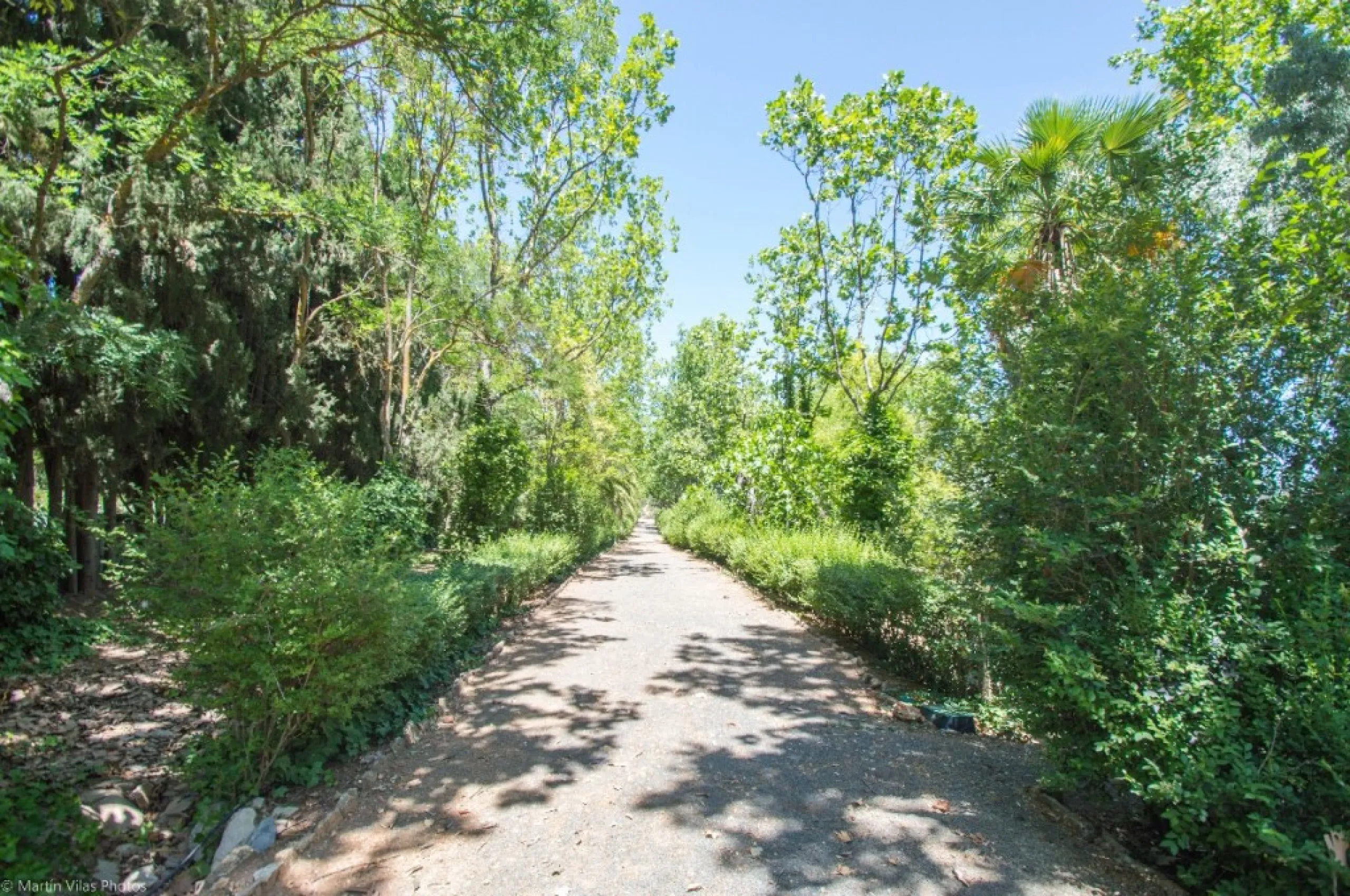 Fantastically Elegant Finca Between Archidona and Villanueva de Tapia, which is Totally Fenced/ Walled. The Finca and Dwelling Feature Total Privacy, and Yet is Only Four minutes from the Motorway and Equidistant between Malaga and Granada Airports..