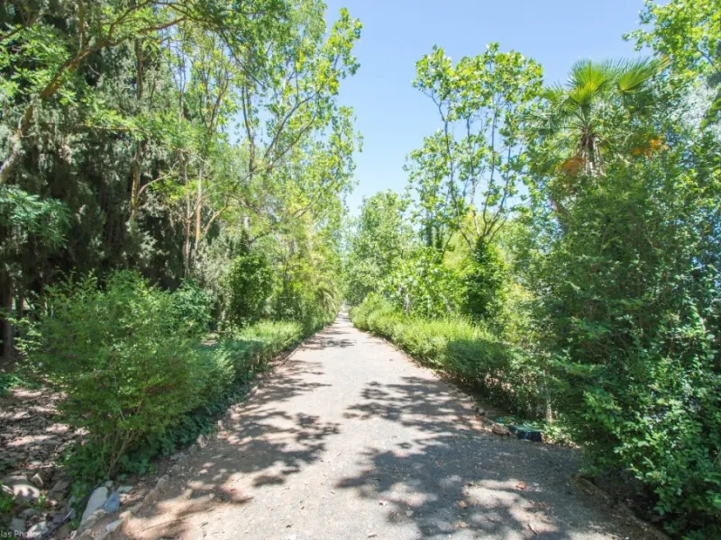 Fantastically Elegant Finca Between Archidona and Villanueva de Tapia, which is Totally Fenced/ Walled. The Finca and Dwelling Feature Total Privacy, and Yet is Only Four minutes from the Motorway and Equidistant between Malaga and Granada Airports..