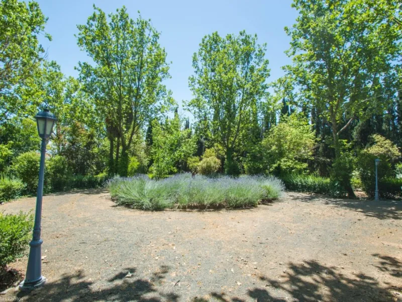 Fantastically Elegant Finca Between Archidona and Villanueva de Tapia, which is Totally Fenced/ Walled. The Finca and Dwelling Feature Total Privacy, and Yet is Only Four minutes from the Motorway and Equidistant between Malaga and Granada Airports..