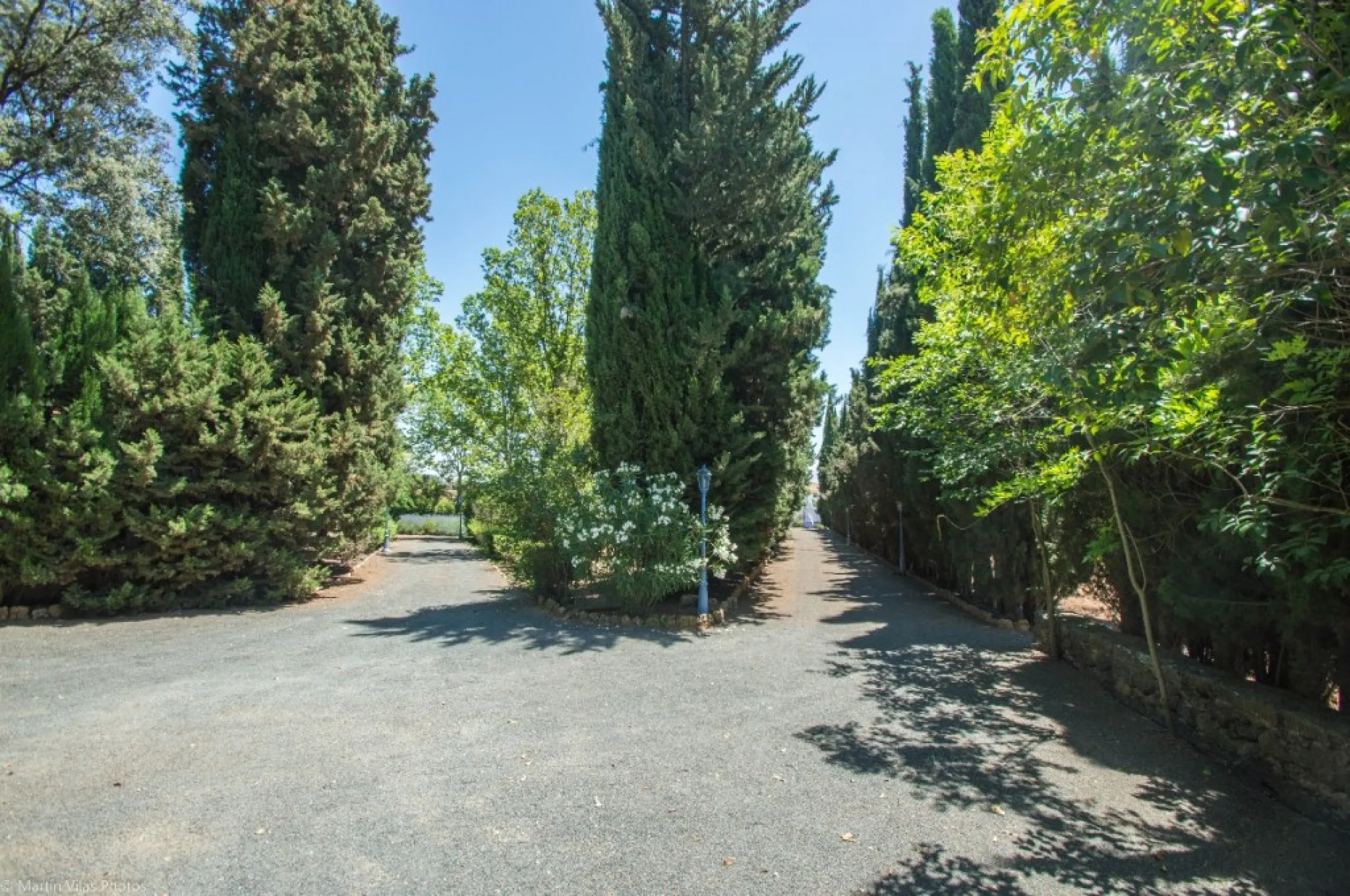 Fantastically Elegant Finca Between Archidona and Villanueva de Tapia, which is Totally Fenced/ Walled. The Finca and Dwelling Feature Total Privacy, and Yet is Only Four minutes from the Motorway and Equidistant between Malaga and Granada Airports..