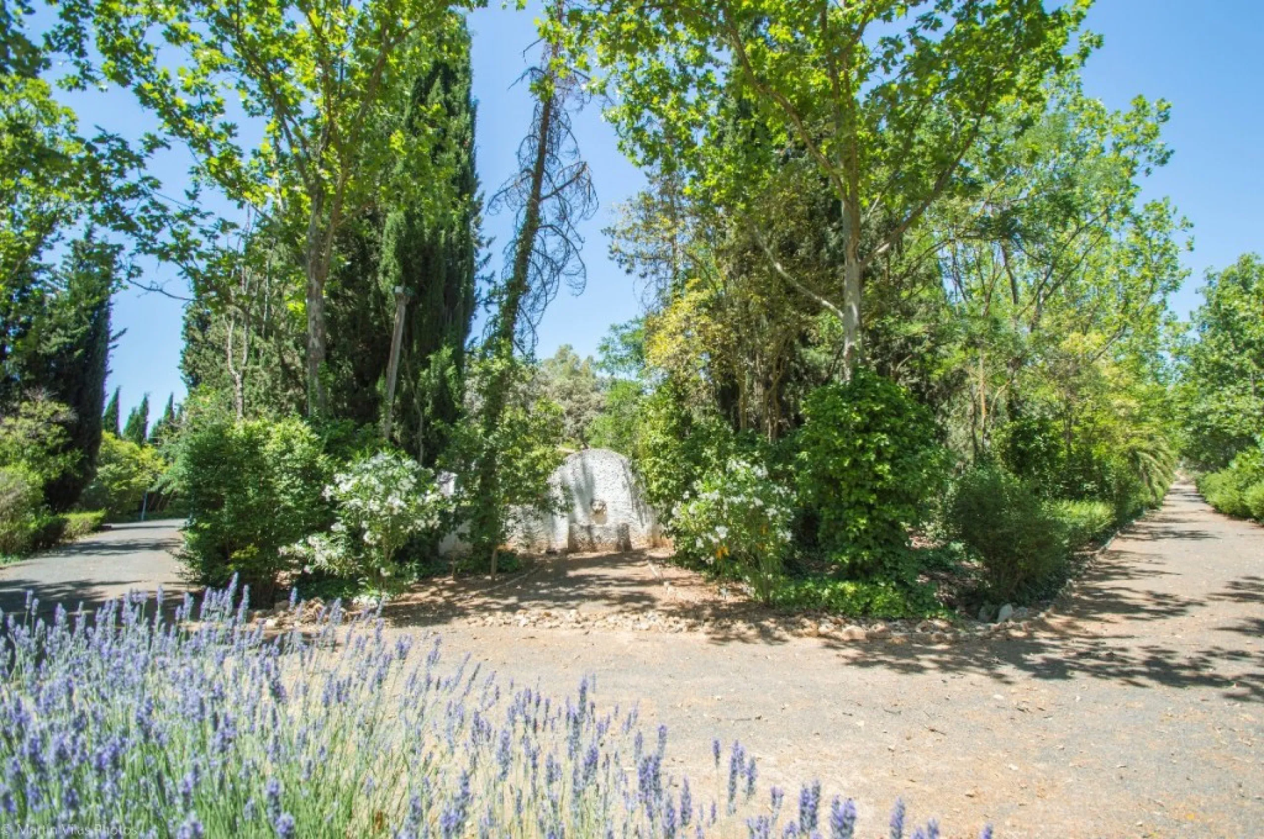 Fantastically Elegant Finca Between Archidona and Villanueva de Tapia, which is Totally Fenced/ Walled. The Finca and Dwelling Feature Total Privacy, and Yet is Only Four minutes from the Motorway and Equidistant between Malaga and Granada Airports..