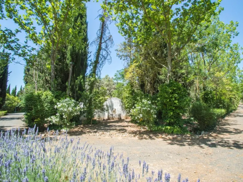 Fantastically Elegant Finca Between Archidona and Villanueva de Tapia, which is Totally Fenced/ Walled. The Finca and Dwelling Feature Total Privacy, and Yet is Only Four minutes from the Motorway and Equidistant between Malaga and Granada Airports..
