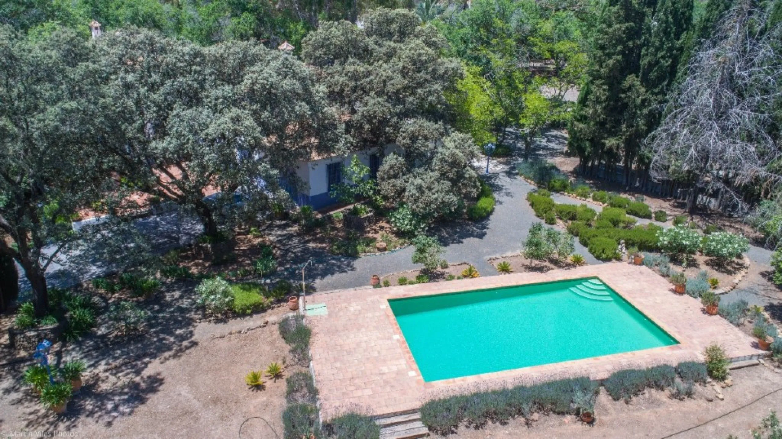 Fantastically Elegant Finca Between Archidona and Villanueva de Tapia, which is Totally Fenced/ Walled. The Finca and Dwelling Feature Total Privacy, and Yet is Only Four minutes from the Motorway and Equidistant between Malaga and Granada Airports..