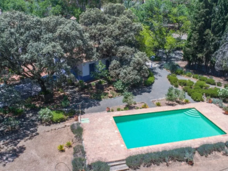 Fantastically Elegant Finca Between Archidona and Villanueva de Tapia, which is Totally Fenced/ Walled. The Finca and Dwelling Feature Total Privacy, and Yet is Only Four minutes from the Motorway and Equidistant between Malaga and Granada Airports..