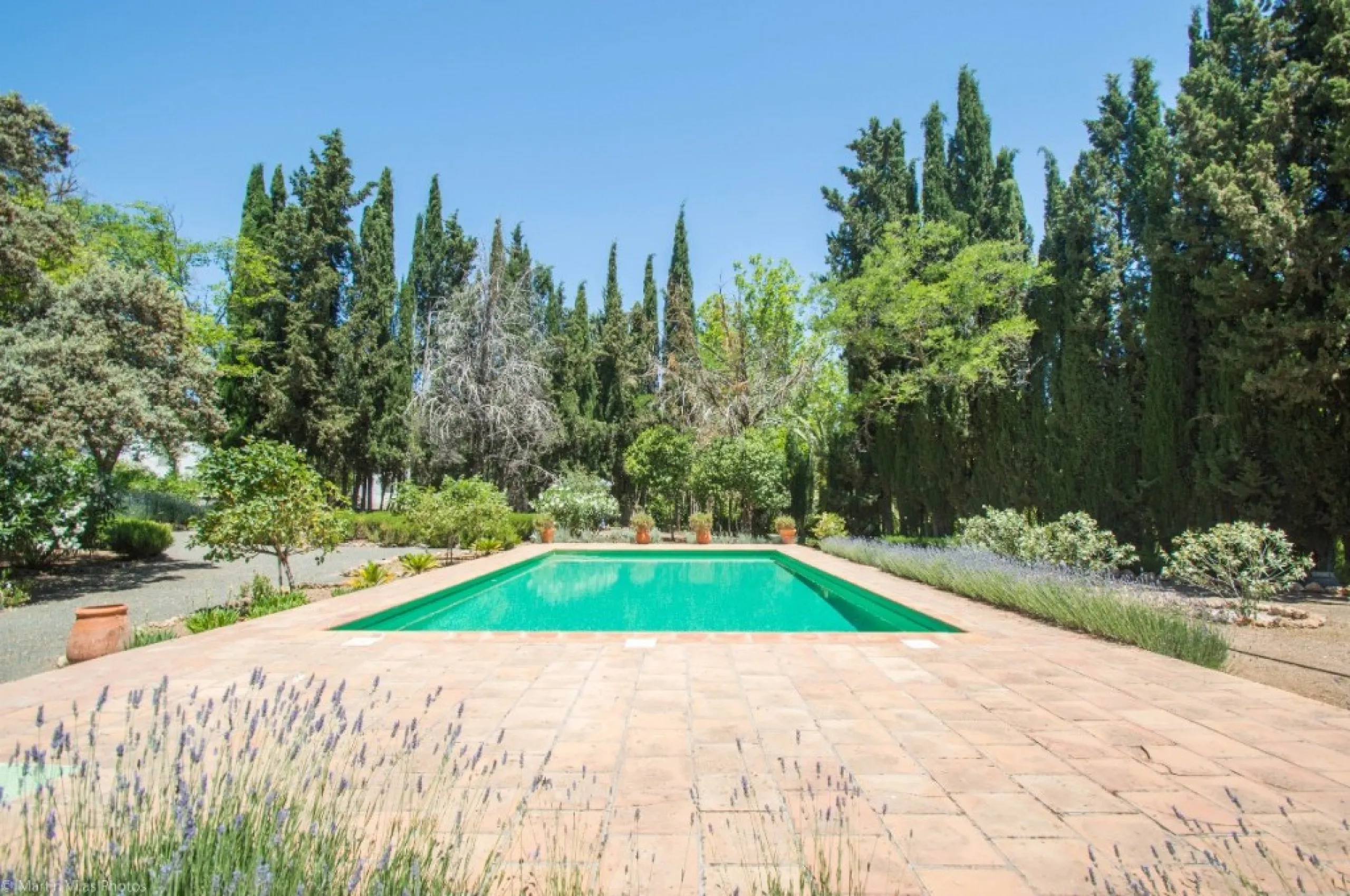 Fantastically Elegant Finca Between Archidona and Villanueva de Tapia, which is Totally Fenced/ Walled. The Finca and Dwelling Feature Total Privacy, and Yet is Only Four minutes from the Motorway and Equidistant between Malaga and Granada Airports..