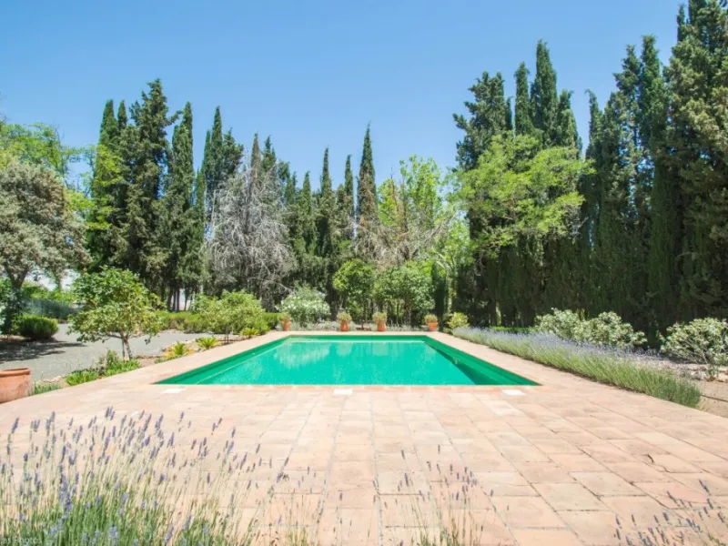 Fantastically Elegant Finca Between Archidona and Villanueva de Tapia, which is Totally Fenced/ Walled. The Finca and Dwelling Feature Total Privacy, and Yet is Only Four minutes from the Motorway and Equidistant between Malaga and Granada Airports..