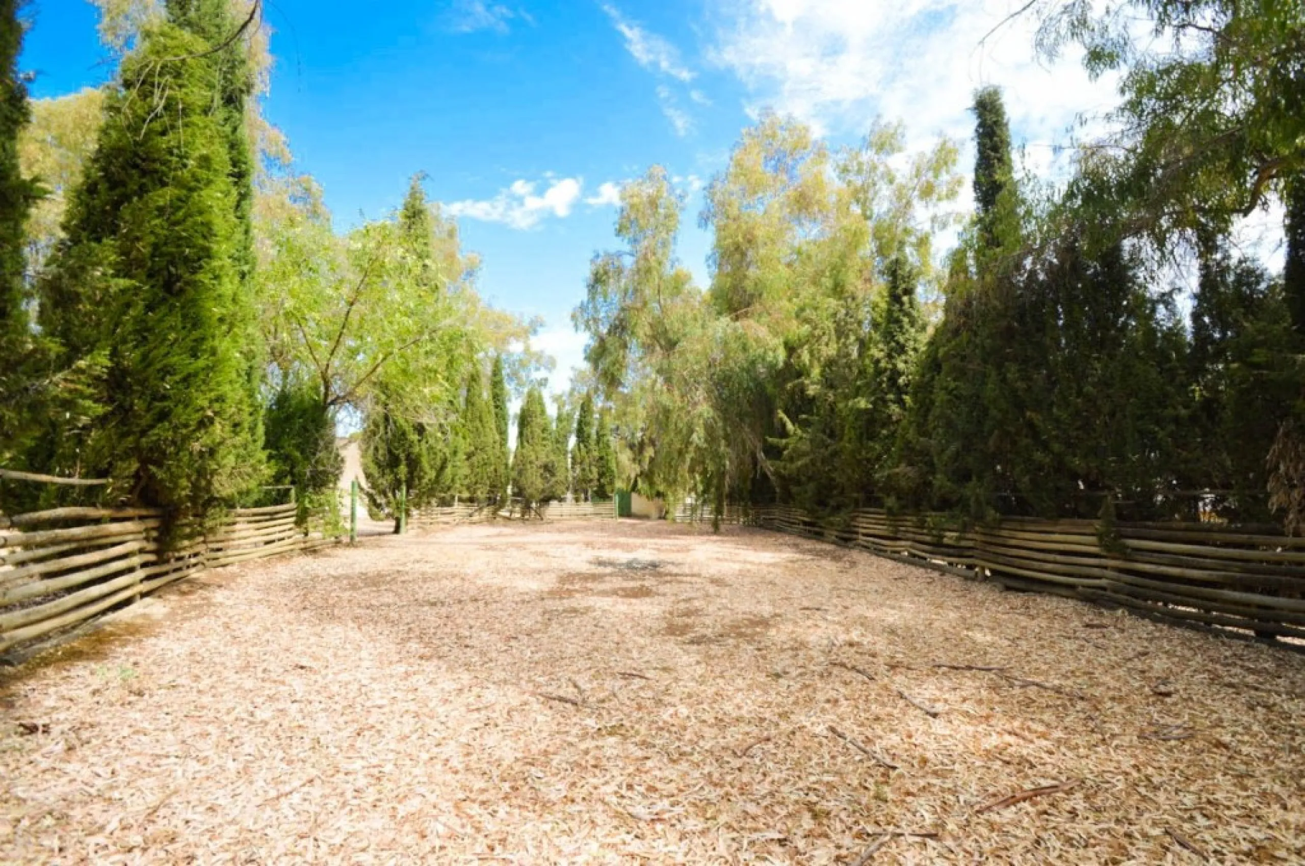 Fantastically Elegant Finca Between Archidona and Villanueva de Tapia, which is Totally Fenced/ Walled. The Finca and Dwelling Feature Total Privacy, and Yet is Only Four minutes from the Motorway and Equidistant between Malaga and Granada Airports..