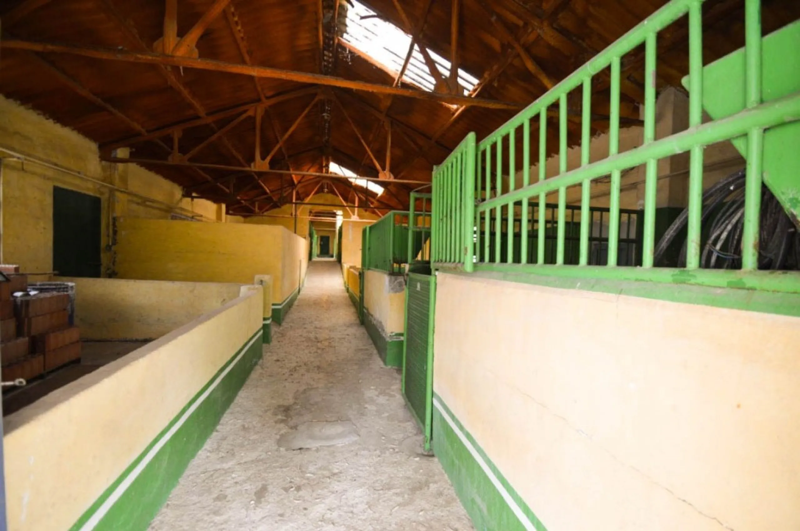 Fantastically Elegant Finca Between Archidona and Villanueva de Tapia, which is Totally Fenced/ Walled. The Finca and Dwelling Feature Total Privacy, and Yet is Only Four minutes from the Motorway and Equidistant between Malaga and Granada Airports..
