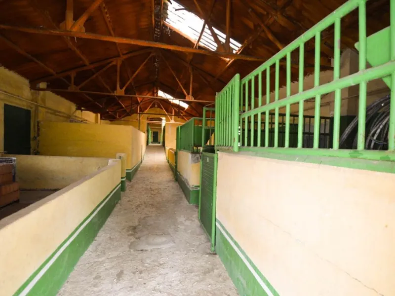 Fantastically Elegant Finca Between Archidona and Villanueva de Tapia, which is Totally Fenced/ Walled. The Finca and Dwelling Feature Total Privacy, and Yet is Only Four minutes from the Motorway and Equidistant between Malaga and Granada Airports..