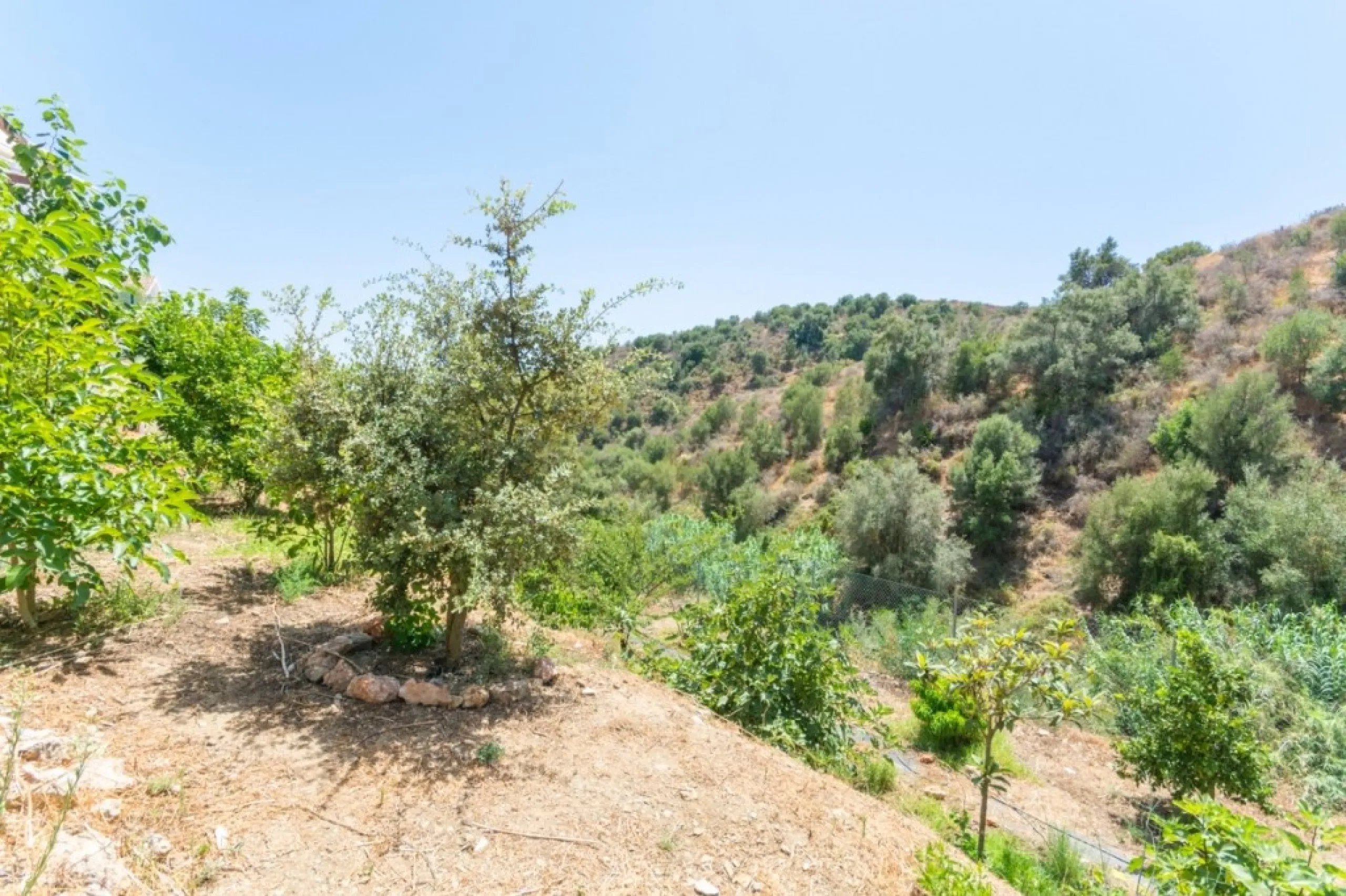 Large Villa with great qualities in Carretera de Mijas area with guest accommodation, lift and orchard.