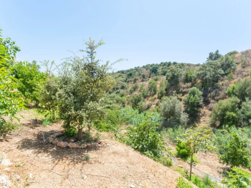 Large Villa with great qualities in Carretera de Mijas area with guest accommodation, lift and orchard.