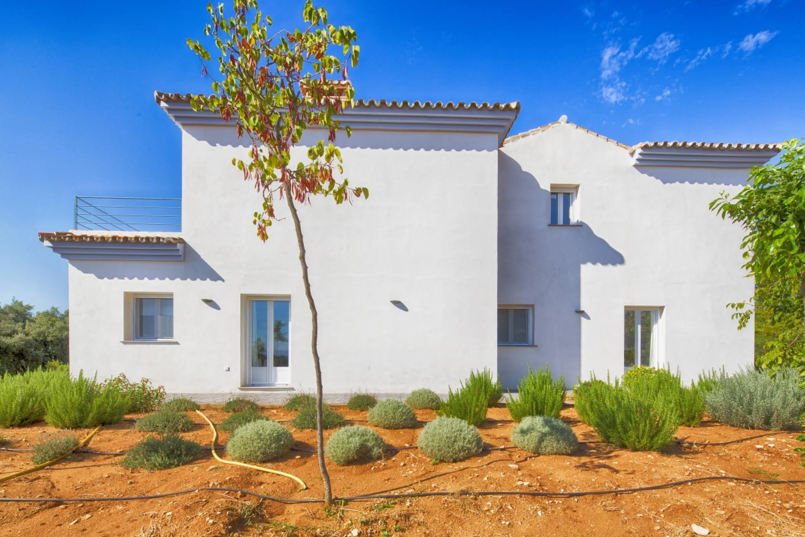 AN OUTSTANDING OPPORTUNITY to own an IMPRESSIVE FINCA OF 30,000M2 OF FLAT LAND with 1,000 walnut trees and a beautiful, stylish modern home with a private swimming pool and exceptional views.