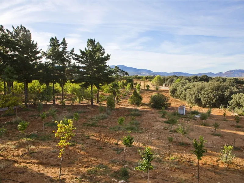 AN OUTSTANDING OPPORTUNITY to own an IMPRESSIVE FINCA OF 30,000M2 OF FLAT LAND with 1,000 walnut trees and a beautiful, stylish modern home with a private swimming pool and exceptional views.