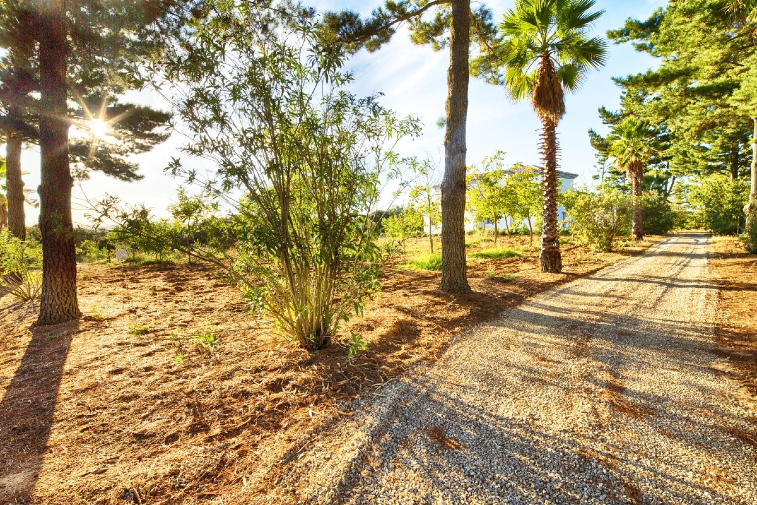 AN OUTSTANDING OPPORTUNITY to own an IMPRESSIVE FINCA OF 30,000M2 OF FLAT LAND with 1,000 walnut trees and a beautiful, stylish modern home with a private swimming pool and exceptional views.