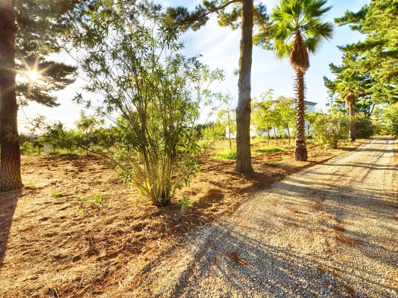 AN OUTSTANDING OPPORTUNITY to own an IMPRESSIVE FINCA OF 30,000M2 OF FLAT LAND with 1,000 walnut trees and a beautiful, stylish modern home with a private swimming pool and exceptional views.