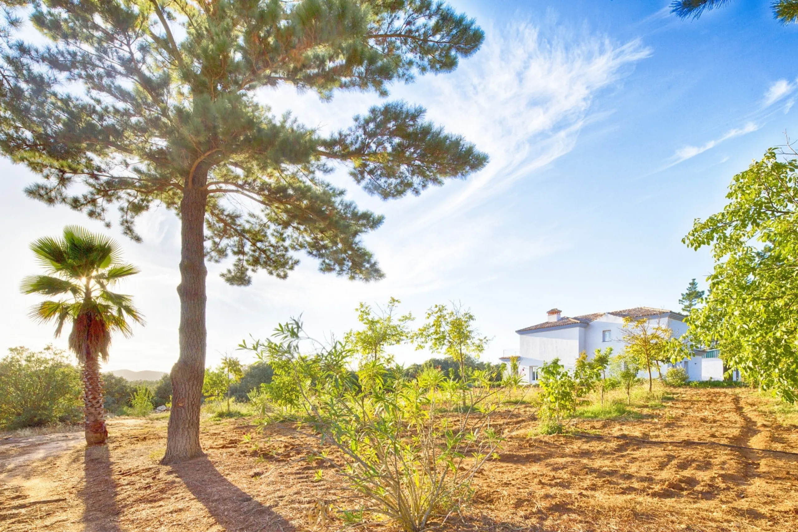 AN OUTSTANDING OPPORTUNITY to own an IMPRESSIVE FINCA OF 30,000M2 OF FLAT LAND with 1,000 walnut trees and a beautiful, stylish modern home with a private swimming pool and exceptional views.