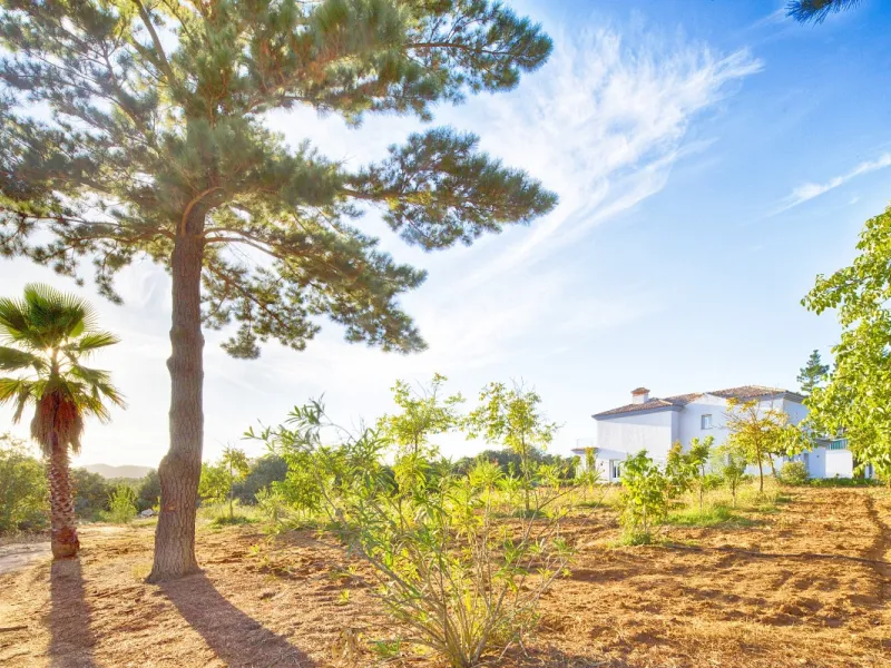AN OUTSTANDING OPPORTUNITY to own an IMPRESSIVE FINCA OF 30,000M2 OF FLAT LAND with 1,000 walnut trees and a beautiful, stylish modern home with a private swimming pool and exceptional views.