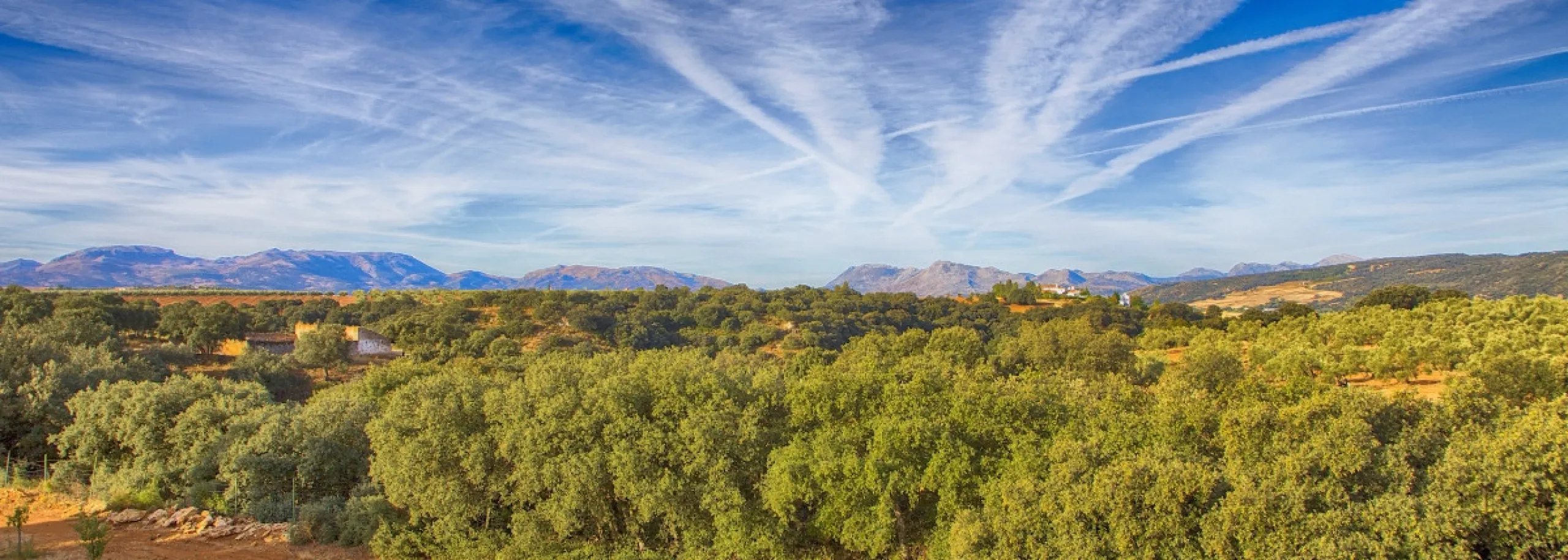 AN OUTSTANDING OPPORTUNITY to own an IMPRESSIVE FINCA OF 30,000M2 OF FLAT LAND with 1,000 walnut trees and a beautiful, stylish modern home with a private swimming pool and exceptional views.