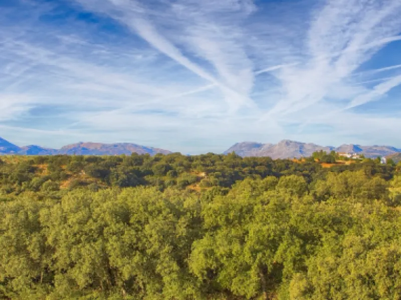 AN OUTSTANDING OPPORTUNITY to own an IMPRESSIVE FINCA OF 30,000M2 OF FLAT LAND with 1,000 walnut trees and a beautiful, stylish modern home with a private swimming pool and exceptional views.