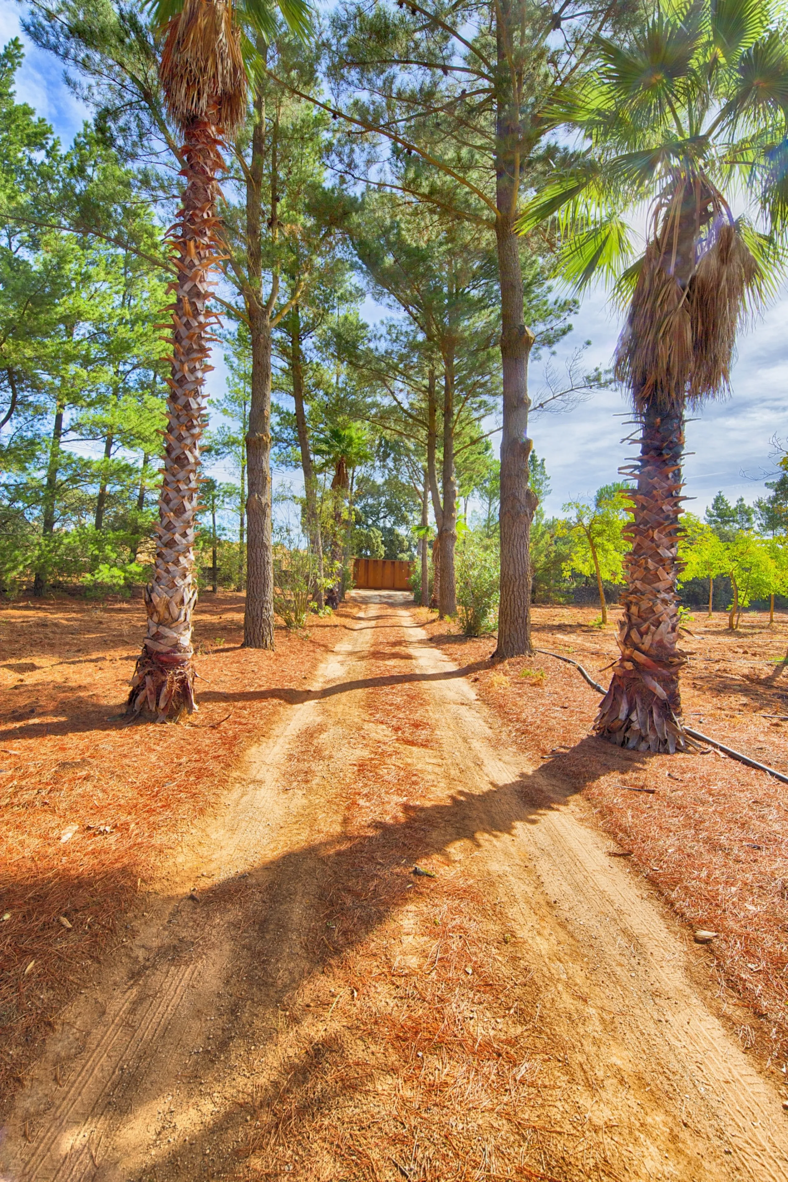 AN OUTSTANDING OPPORTUNITY to own an IMPRESSIVE FINCA OF 30,000M2 OF FLAT LAND with 1,000 walnut trees and a beautiful, stylish modern home with a private swimming pool and exceptional views.