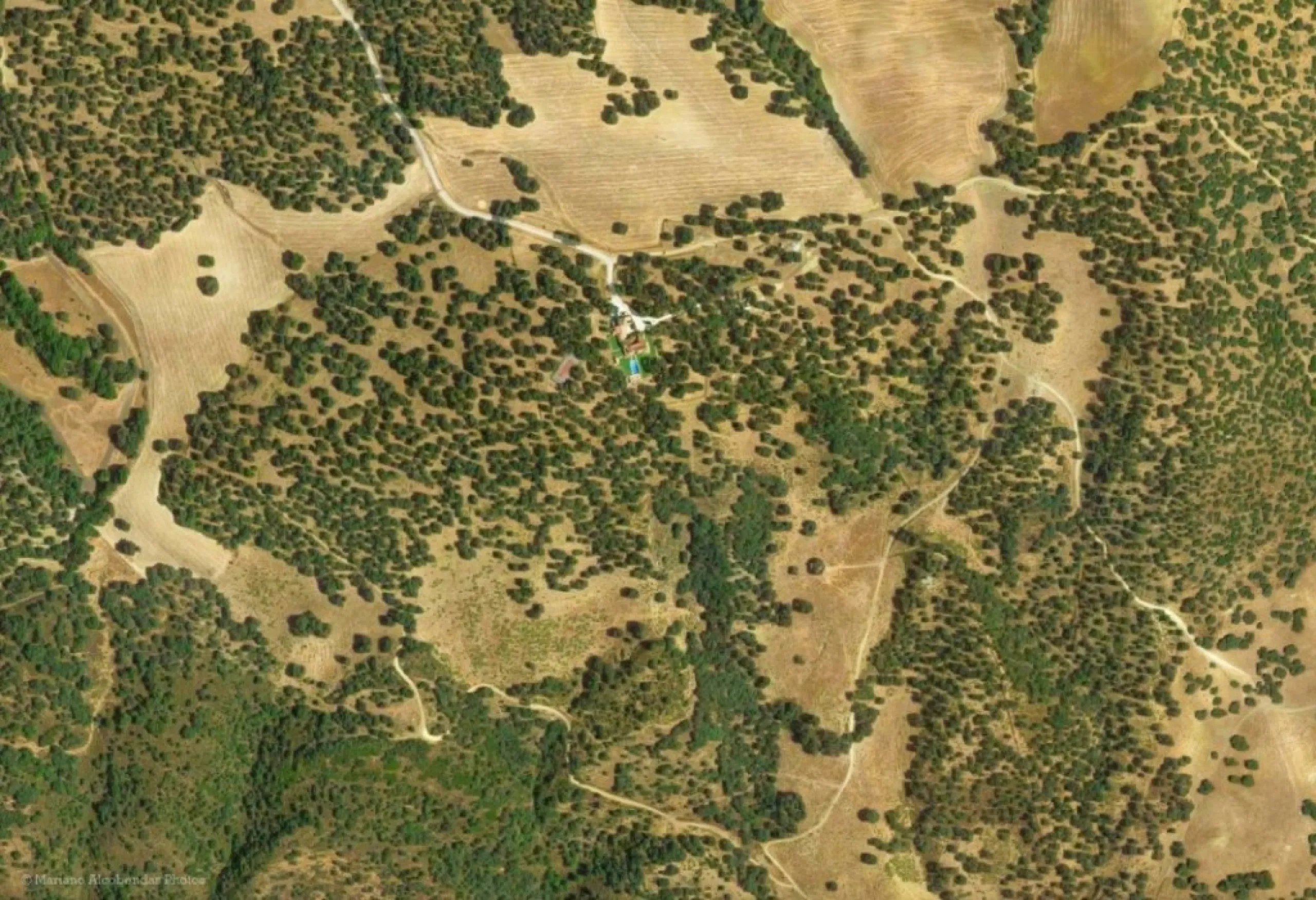Außergewöhnliches Landgut mit Weinbergen in der Serranía de Ronda