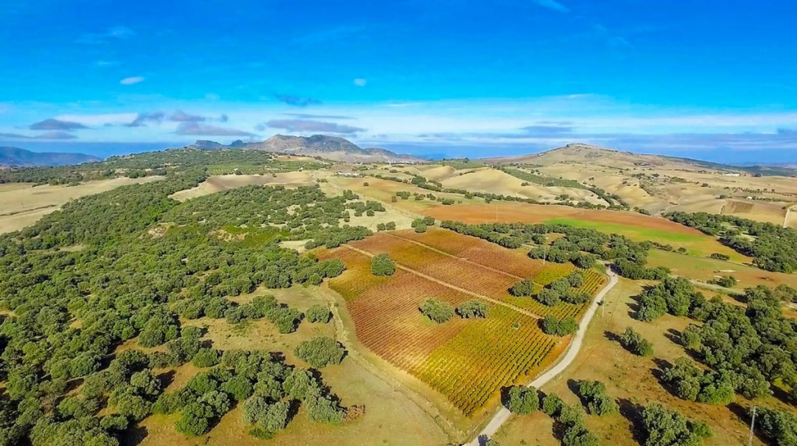 Außergewöhnliches Landgut mit Weinbergen in der Serranía de Ronda